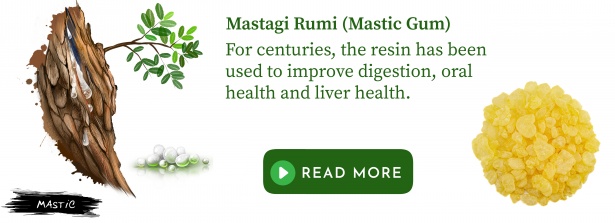 Mastagi Rumi