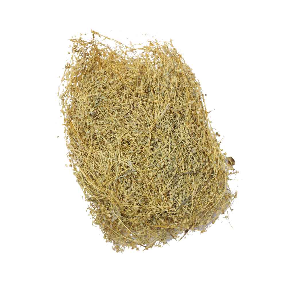 Parpastica |Threadstem carpetweed | Parpataka | Mollugo cerviana