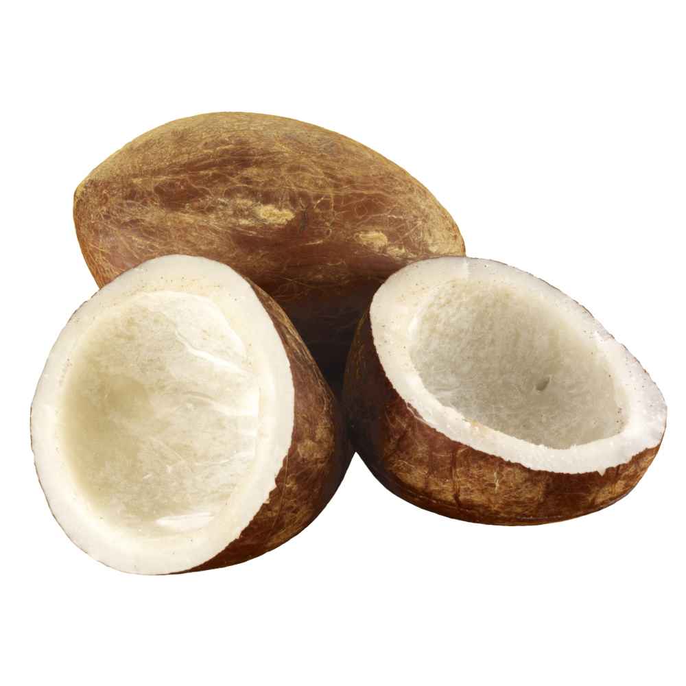 Dry Coconut (Copra/Khopra)