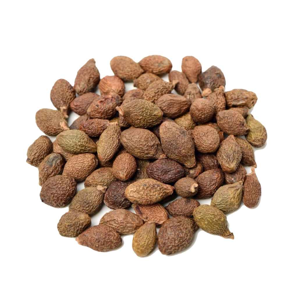 Niranjan Phal | Niranjan Fal | Malva Nuts | Scaphium affine | Sterculia Lychnophora