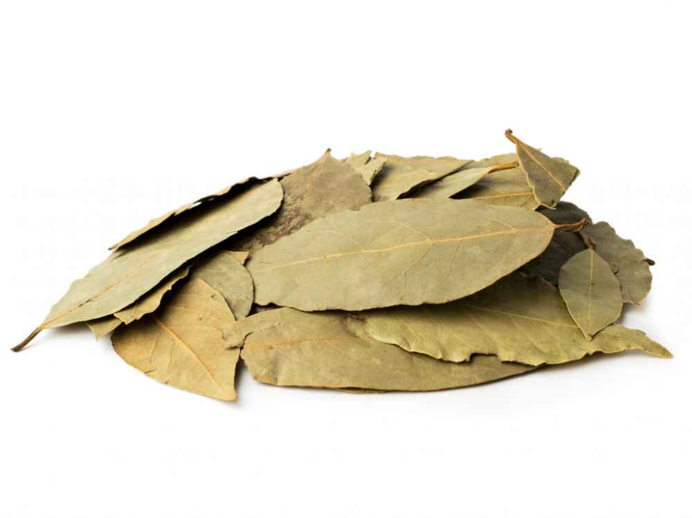 Tejpatta | Bay Leaf (Selected)