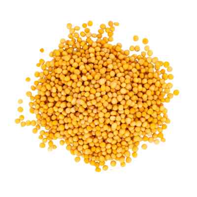 Yellow Mustard Seeds | Rai