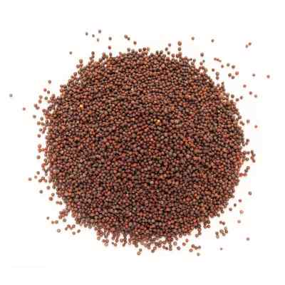 Brown Mustard Seeds Small | Rai