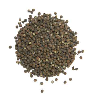 Banola ka Beej | Cotton Seeds | Gossypium herbaceum Linn.