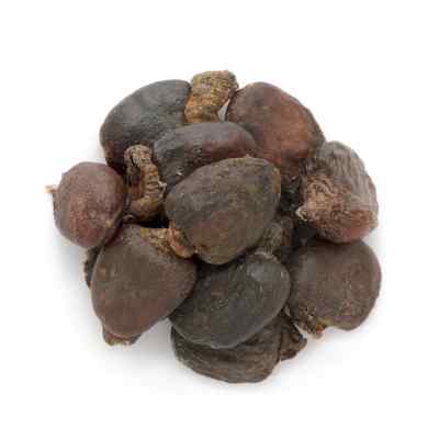 Bhilawa | Marking Nut | Semecarpus anacardium Linn.
