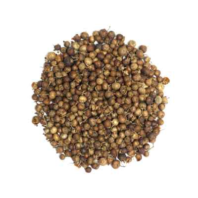 Mehendi Beej | Henna Seeds | Lawsonia inermis