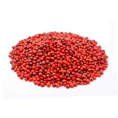 Red Gunja | lal Gumchi | Adenanthera pavonina L