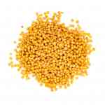 Yellow Mustard Seeds | Rai
