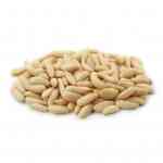 Pine Nuts | Chilgoza Premium (Without Shell)
