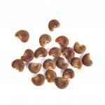 Mushk Dana | Ambrette Seeds | Abelmoschus moschatus Medik.