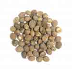 Zaitun Beej | Olive Seeds